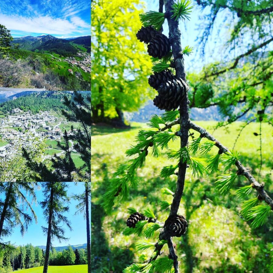 Hotel Trudnerhof Im Naturpark Trudnerhorn 特罗德纳 外观 照片